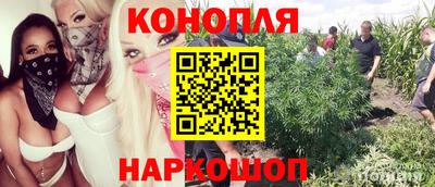 spice Донской