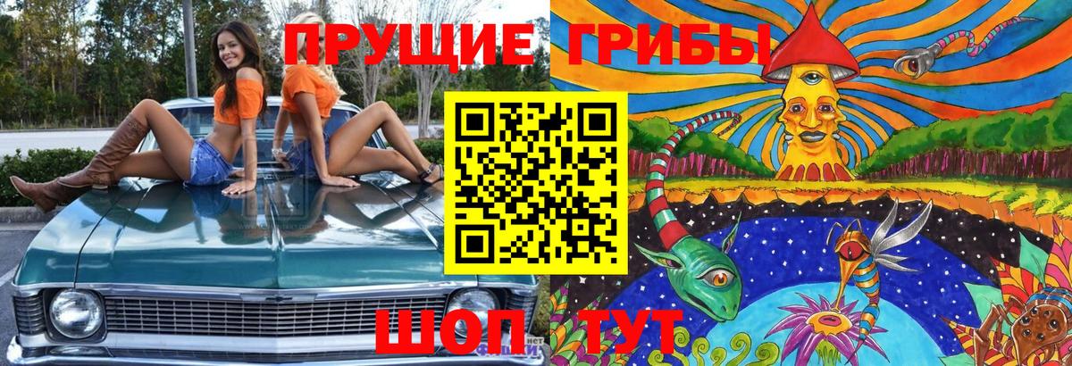 Галлюциногенные грибы MAGIC MUSHROOMS  Вход с VPN  Менделеевск 
